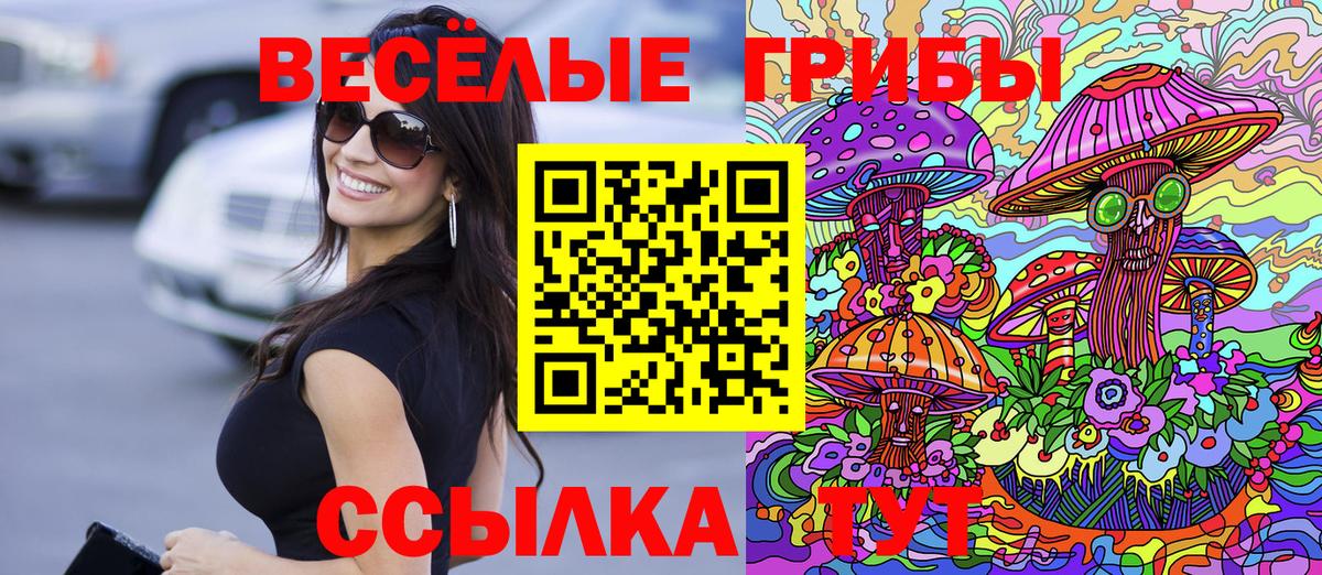 Киржач  Галлюциногенные грибы Magic Shrooms  Вход с VPN 