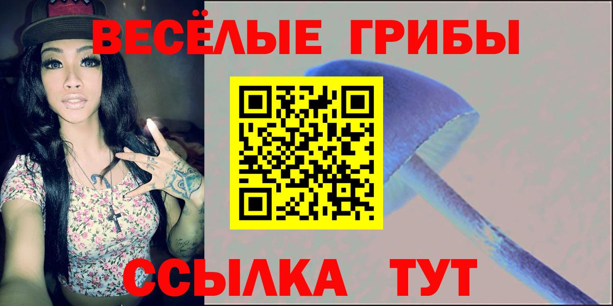 Псилоцибиновые грибы GOLDEN TEACHER Киржач